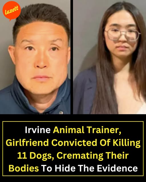 Kwong Chun Sit Convicted