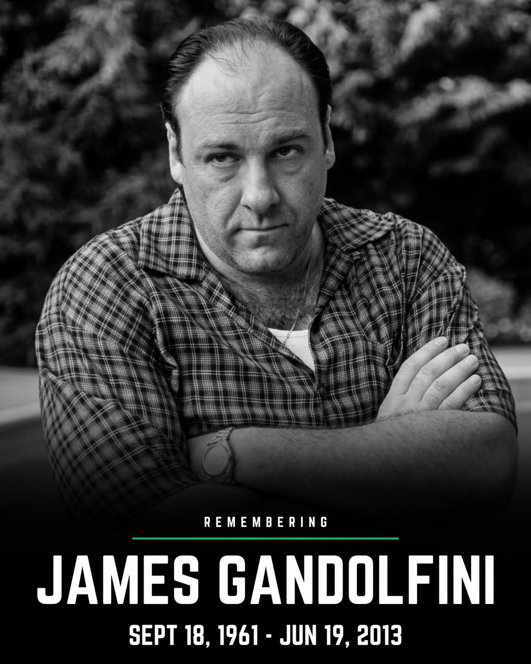 James Gandolfini Obituary