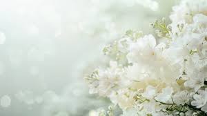3-Month-Old Baby Obituary: